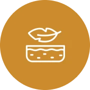 Simple nature-themed icon design.